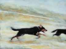 dogs running