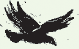 crow